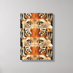 Tiger and Lion eyes Photo Canvas Print