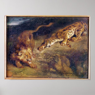 Tiger and Lion Poster