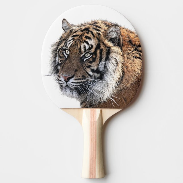 Tiger animal wild jungle zoo photo ping pong paddle (Front)