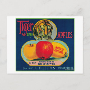 Tiger Apple Crate LabelWatsonville, CA Postcard