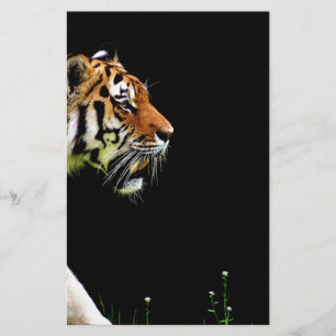 Tiger Approaching - Wild Animal Artwork