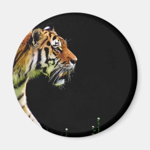 Tiger Approaching - Wild Animal Artwork Magnet