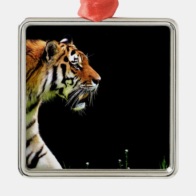 Tiger Approaching - Wild Animal Artwork Metal Ornament (Front)