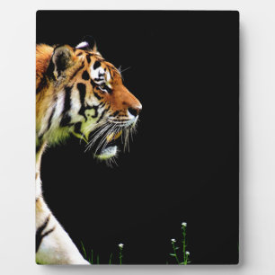 Tiger Approaching - Wild Animal Artwork Plaque