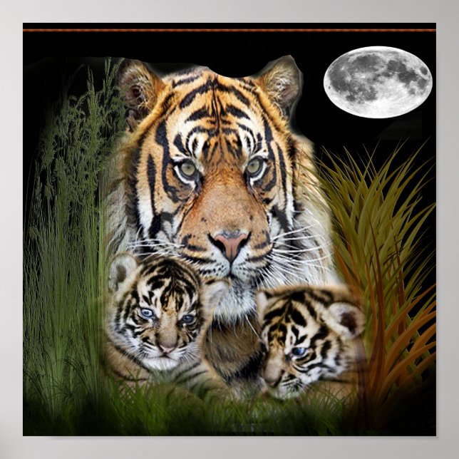 Tiger art poster (Front)