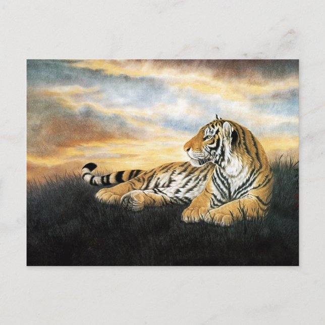 Tiger at sunset, Classical Chinese Art Postcard (Front)