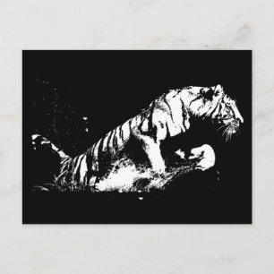 Tiger Attacking Postcard