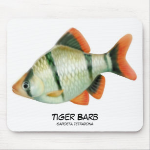 Tiger Barb Aquarium Fish Mousepad
