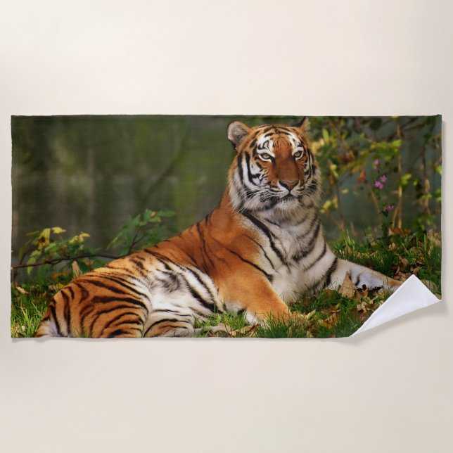 TIGER BEACH TOWEL (Front)