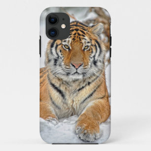 Tiger Beauty in Snow iPhone 11 Case