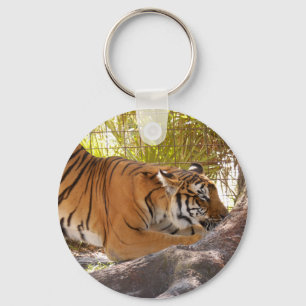 Tiger Bengali 001 Keychain