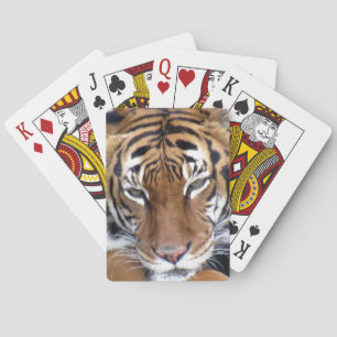 Tiger - Bicycle Playing Cards