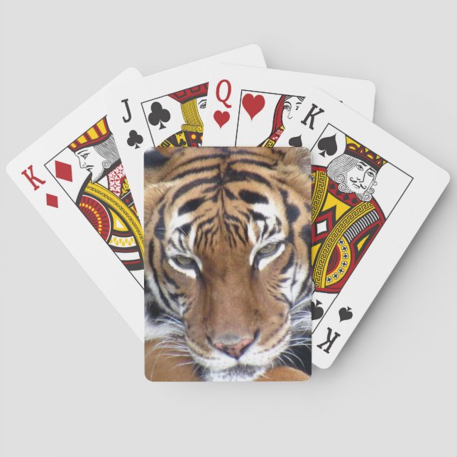 Tiger - Bicycle Playing Cards (Back)