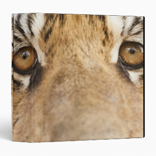 Tiger Binder