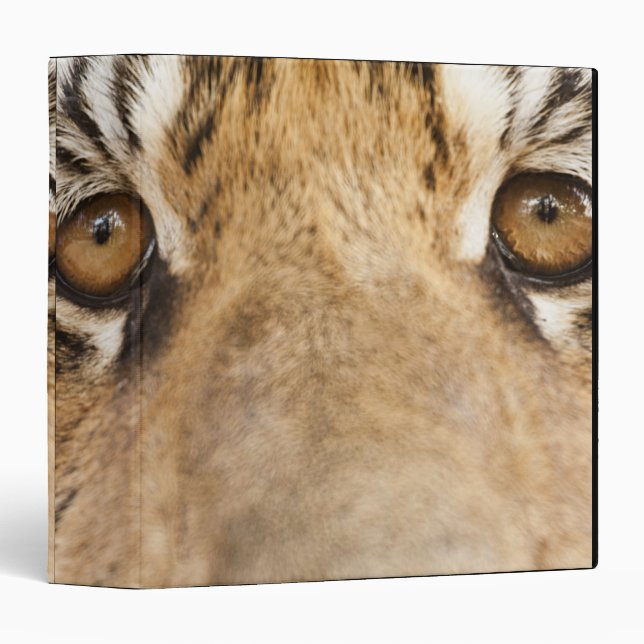 Tiger Binder (Front/Spine)