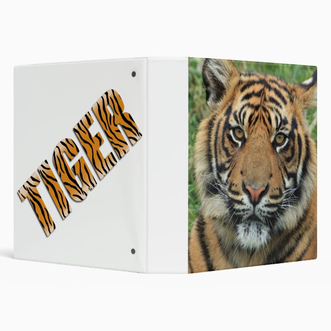 Tiger Binder (Background)
