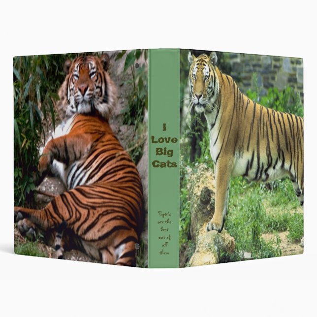 Tiger Binder (Background)