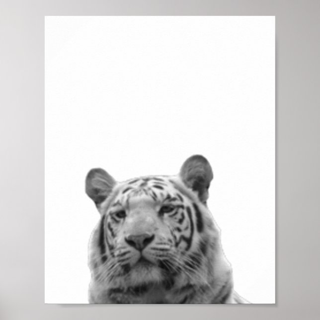 Tiger Black White  Cabin Nursery Photo Poster (Front)