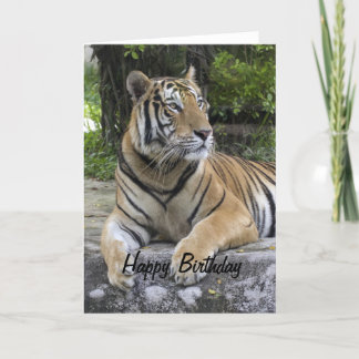 Tiger Blank Birthday Card