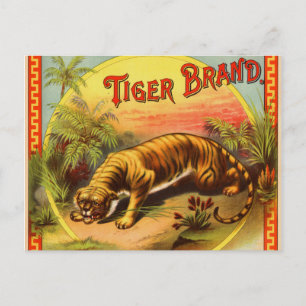 Tiger Brand 1900 Postcard