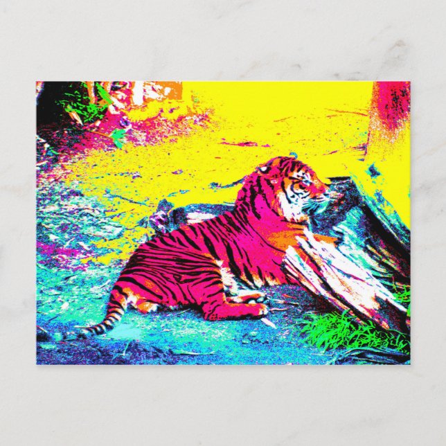 Tiger Bright Postcard (Front)