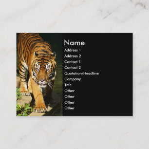 tiger business card