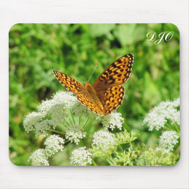 Tiger Butterfly on White Flower Mouse Pad (Front)