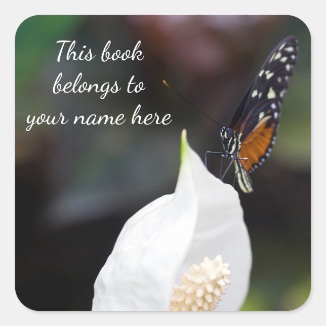 Tiger Butterfly "This book belongs to" sticker (Front)