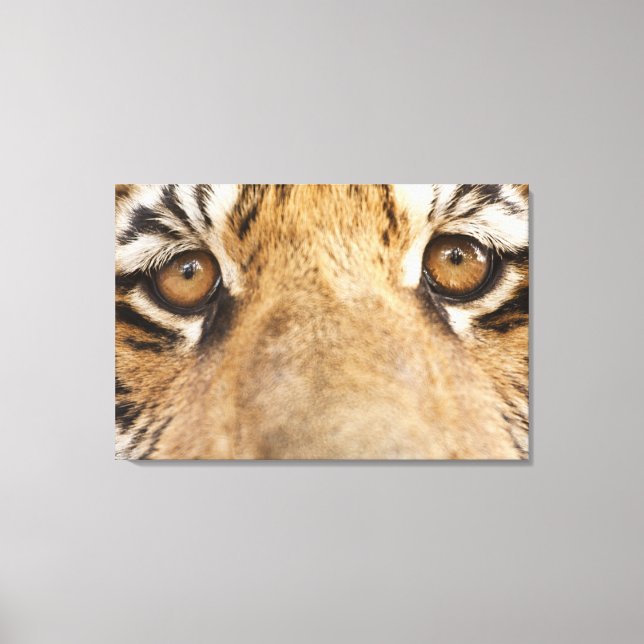 Tiger Canvas Print (Front)