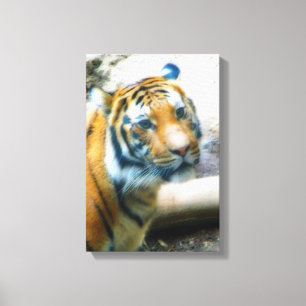Tiger Canvas Print