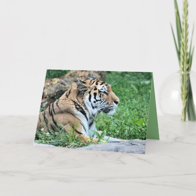 Tiger Card (Front)
