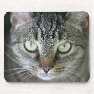 tiger cat face mouse pad