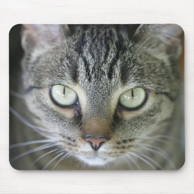 tiger cat face mouse pad (Front)