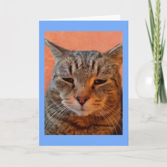 Tiger Cat Miss You Card (Front)