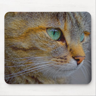 Tiger Cat Portrait Mouse Pad