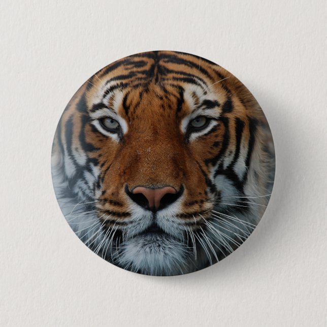 Tiger Cat Stripes Jungle Mist Animal 2 Inch Round Button (Front)