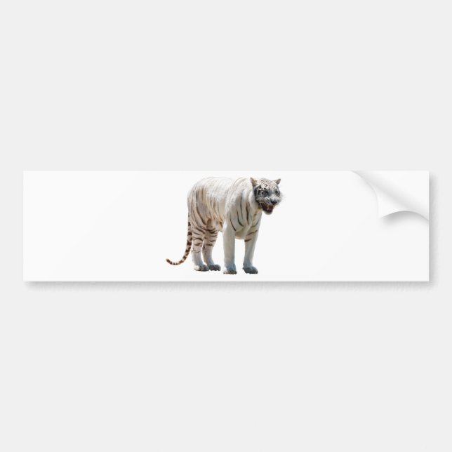 Tiger cat stripes personalize diy Anniversaries Bumper Sticker (Front)