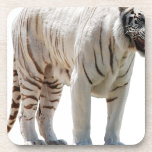 Tiger cat stripes personalize diy Anniversaries Coaster