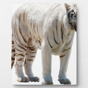 Tiger cat stripes personalize diy Anniversaries Plaque