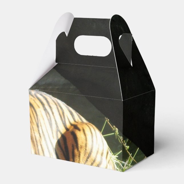 Tiger Catnap Favor Box (Front Side)