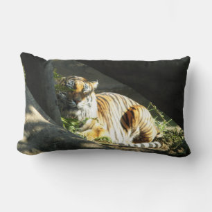 Tiger Catnap Lumbar Pillow