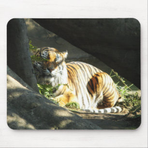 Tiger Catnap Mouse Pad