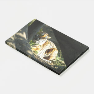Tiger Catnap Post-it Notes