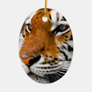 Tiger Ceramic Ornament
