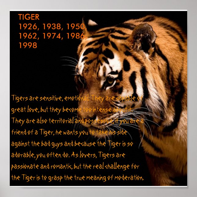 Tiger Chinese Zodiac Poster (Front)