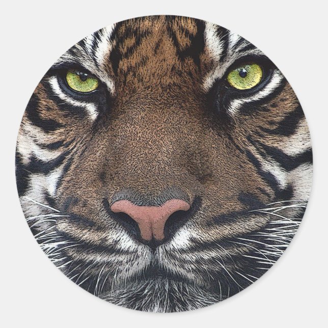 Tiger Classic Round Sticker (Front)