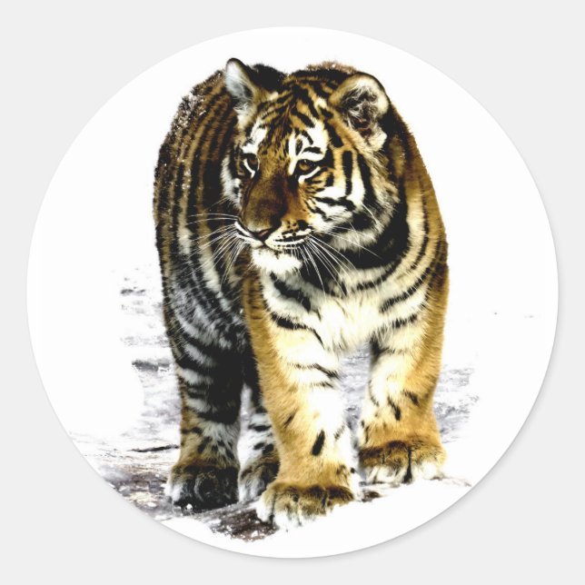 Tiger Classic Round Sticker (Front)