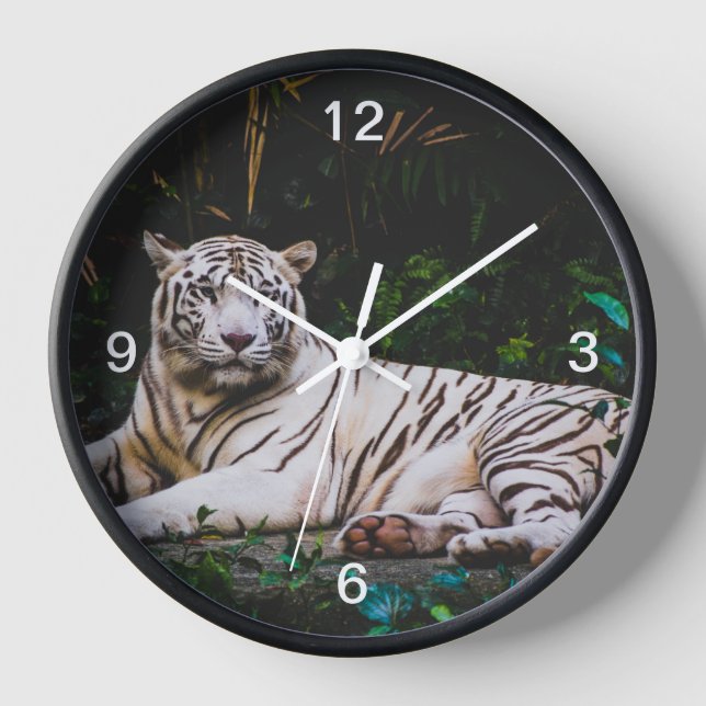 Tiger Clock (Front)