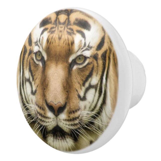 Tiger Close-Up ceramic knobs (Right)