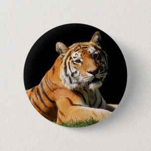Tiger Closeup 2 Inch Round Button